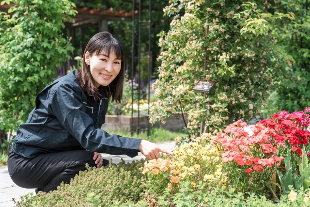 家づくり情報｜ガーデニングのアレンジ～植物を使う～｜イエペディア｜エヴァーホーム