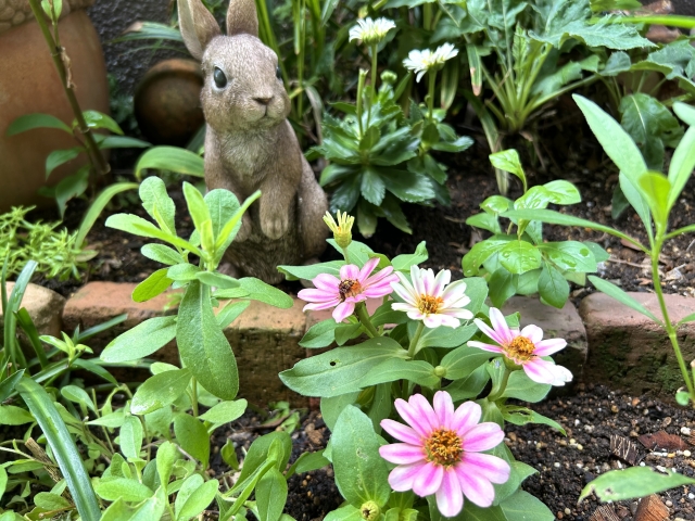 家づくり情報|ガーデニングのアレンジ~レンガを使う~|イエペディア|エヴァーホーム