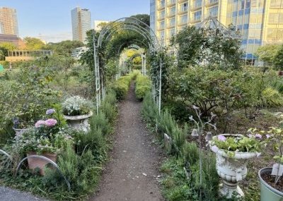 ガーデニングのアレンジ～フェンスを使う～