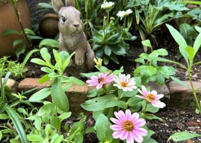 ガーデニングのアレンジ～レンガを使う～